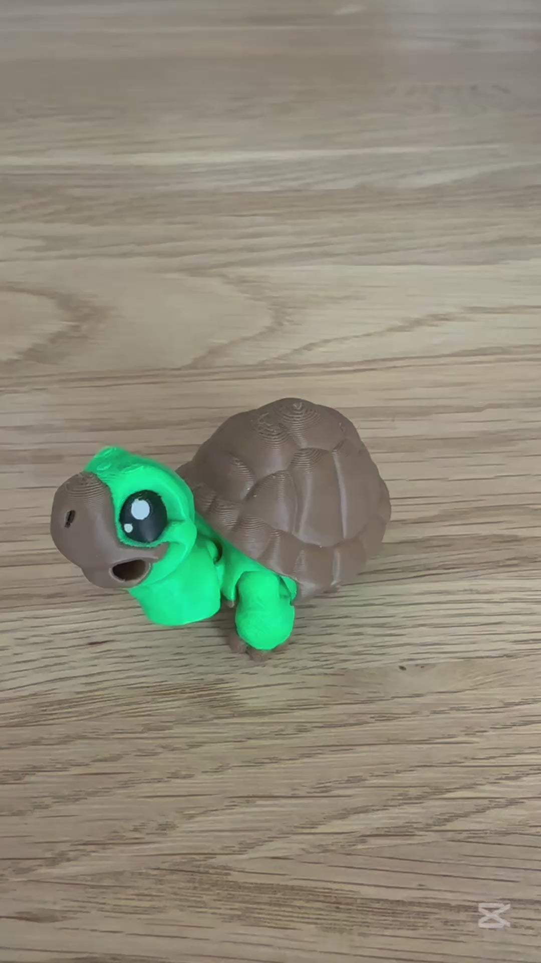 Artikulierte Meeresschildkröte – Als Spielfigur oder Schlüsselanhänger